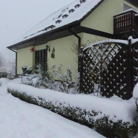 Fewo-Schmidt-Im-Erzgebirge ゲレナウ エクステリア 写真